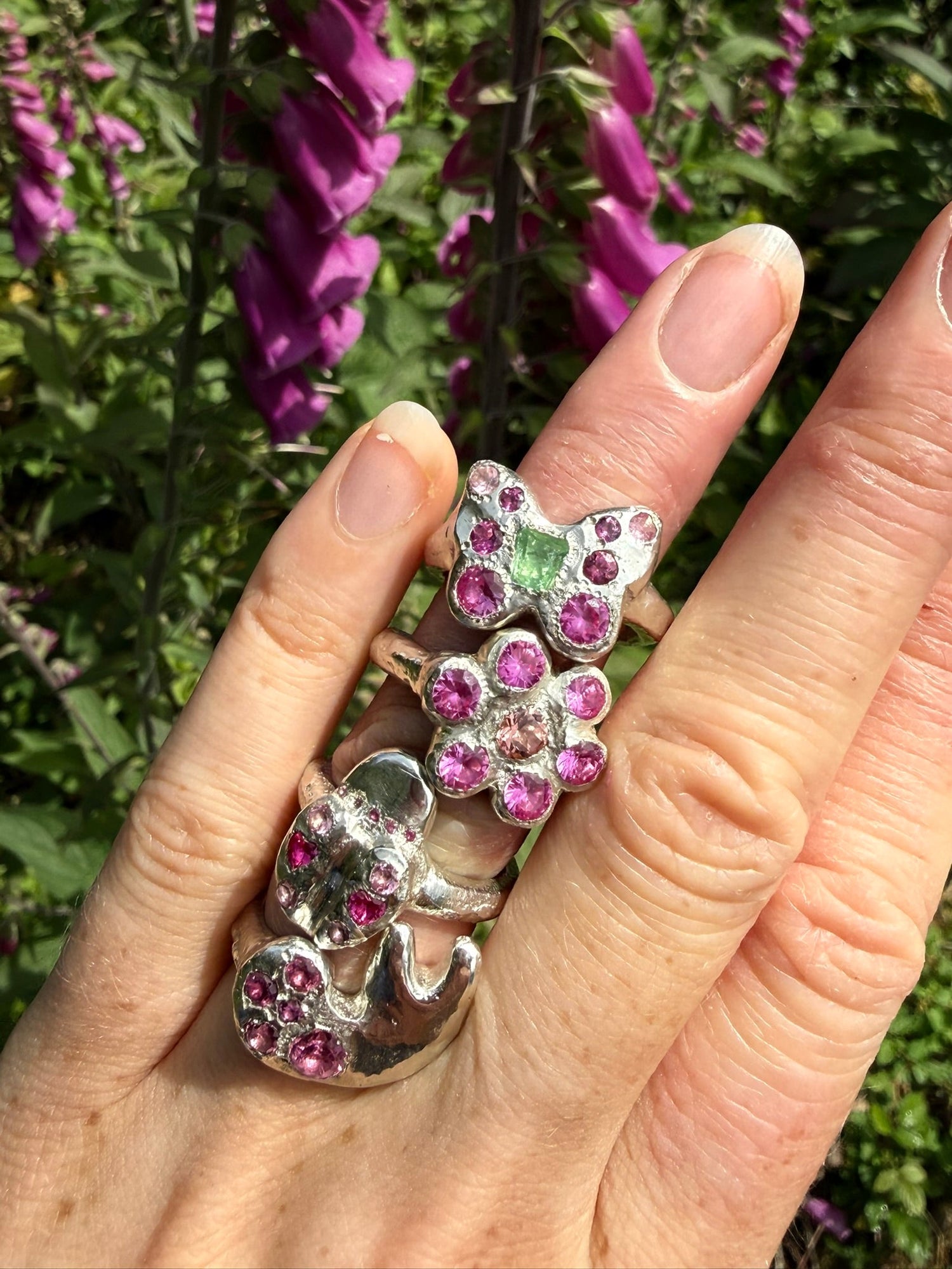 Butterflies & Bugs